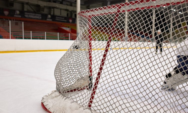 Hokejisti Dallasa potrdili uvrstitev v končnico lige NHL