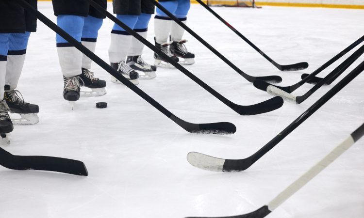 Kralji v ligi NHL do 46. zmage v sezoni