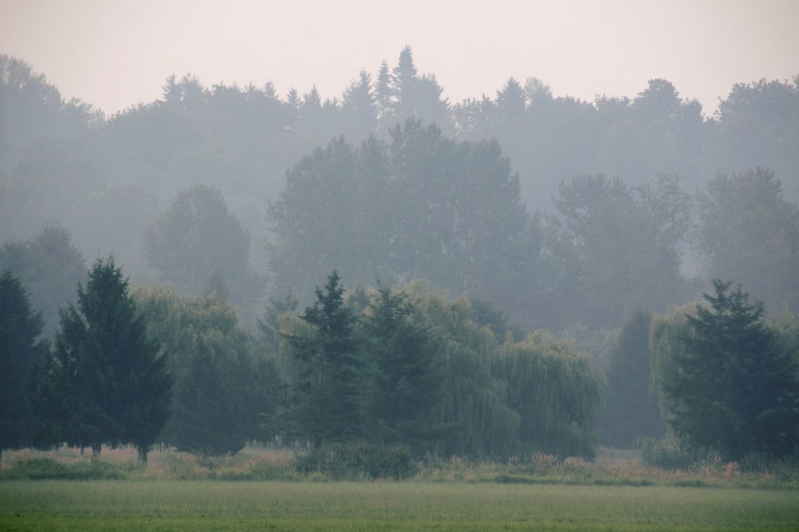 Kakovost zraka