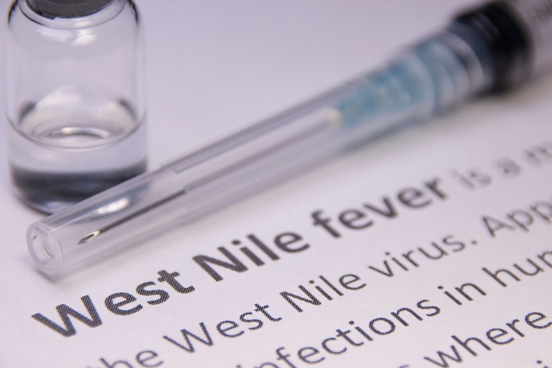 Virus Zahodnega Nila potrjen pri štirih sivih vranah v Ljubljani