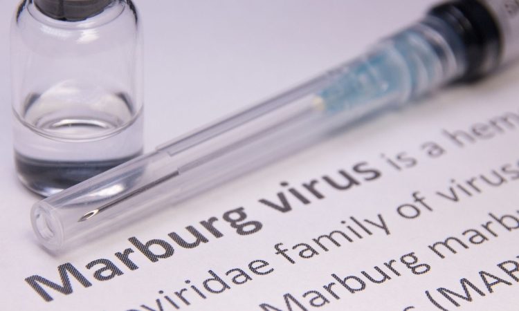 Potrjen nov primer okužbe z virusom Marburg v Tanzaniji
